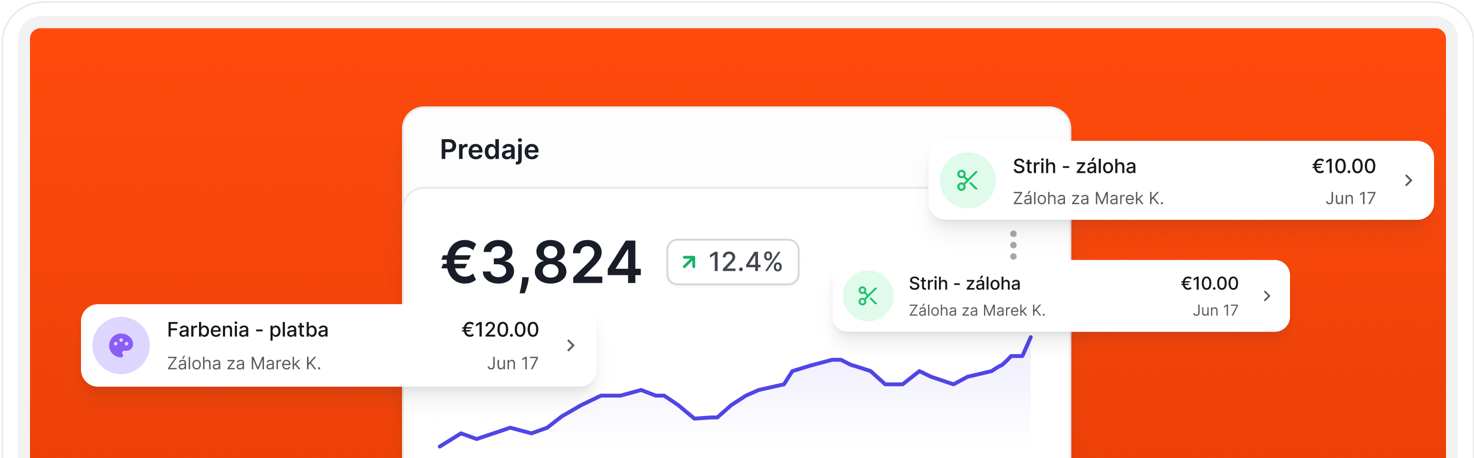 Platobný systém s online platbami a správou financií